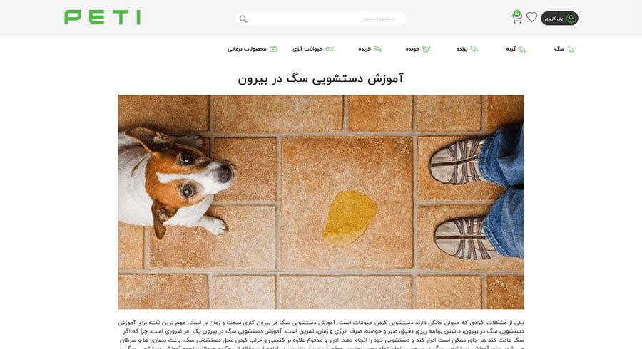 صفحه مقالات سایت Petti