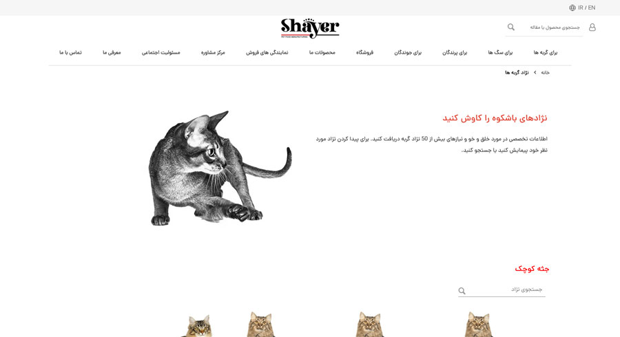 صفحه دسته بندی