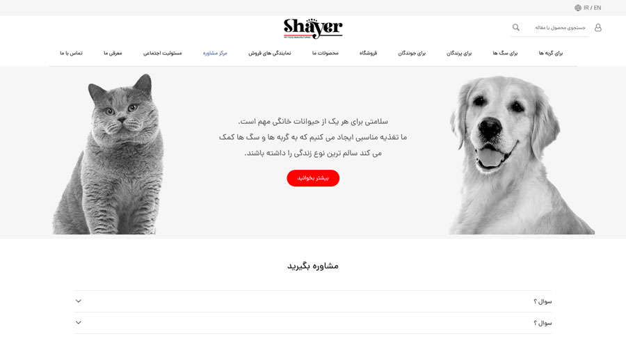 سوالات متداول