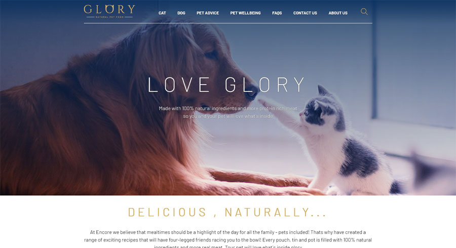 نمای صفحه اصلی وب سایت Glory